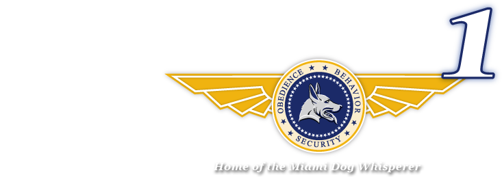 DogForce1 – Richard Heinz – Miami Dog Trainer. Home of the Miami Dog Whisperer